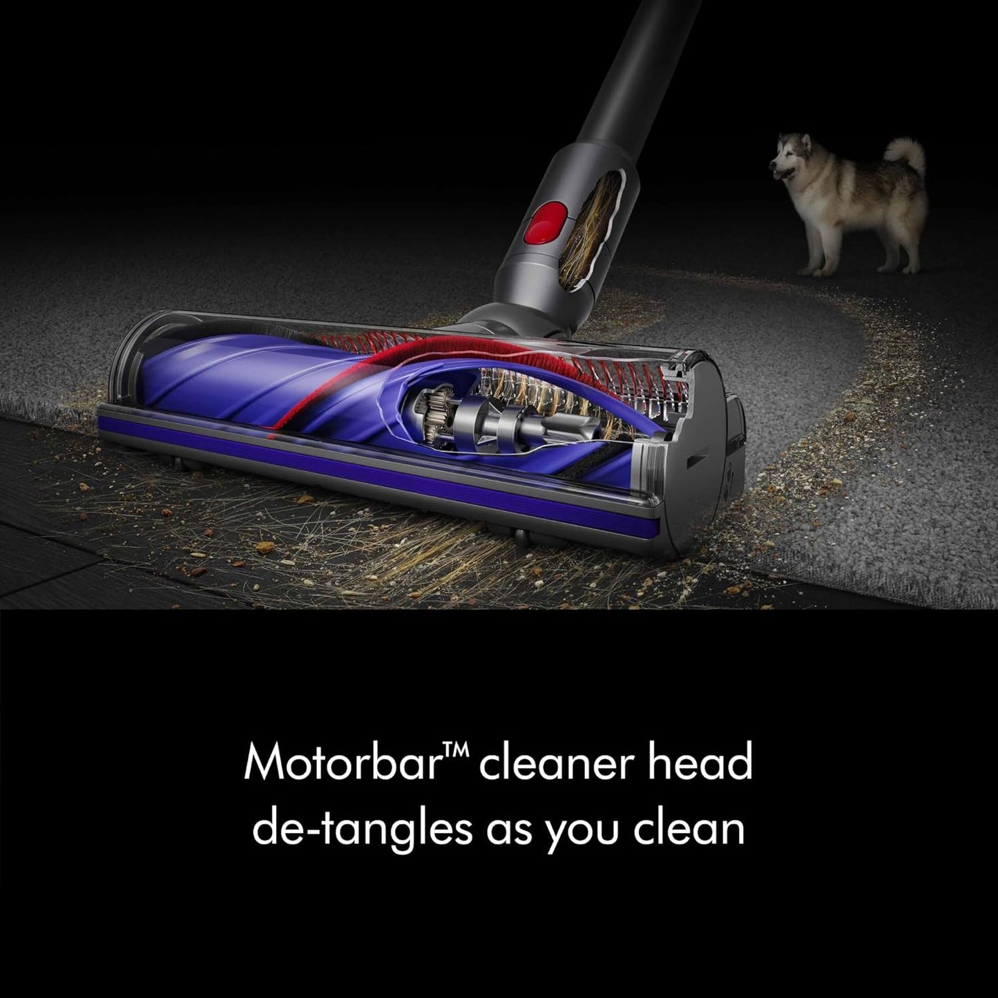 (Fair) Dyson V8 Plus Cordless Vacuum