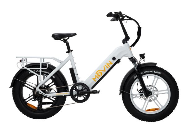 Fat Tire E-Bike - Pulse