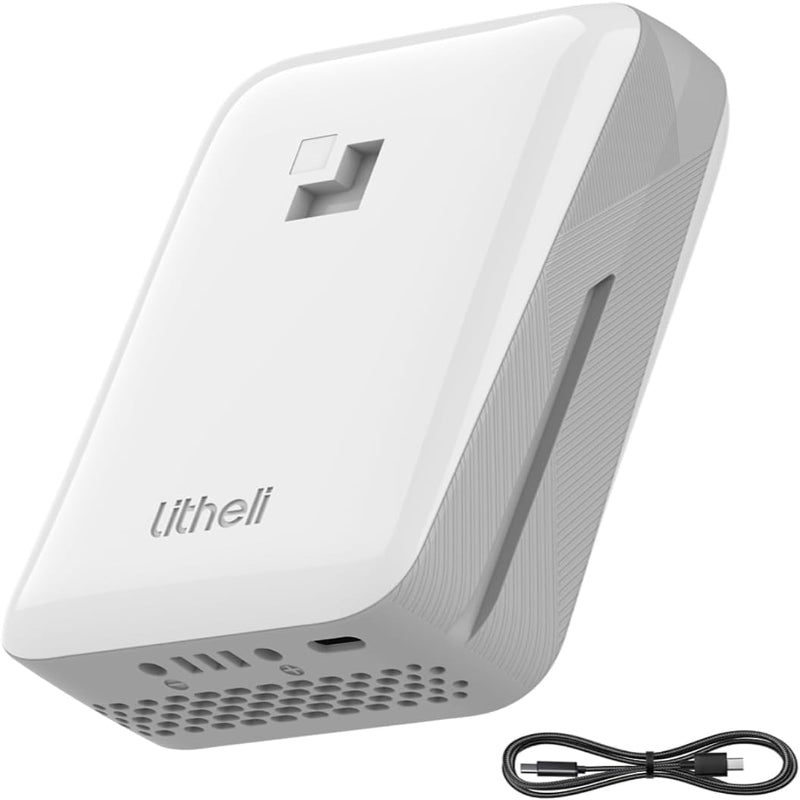 (New Open Box) Litheli Battery Pack 20V, 2.0Ah Replacement Lithium Batteries U20 Series Power Tools (SE Version)