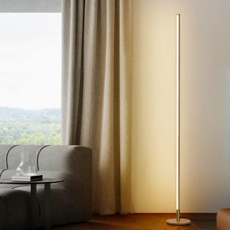 (New Open Box) TACAHE Minimalist Corner Floor Lamp | Dimmable LED • Remote Control • Gold Finish