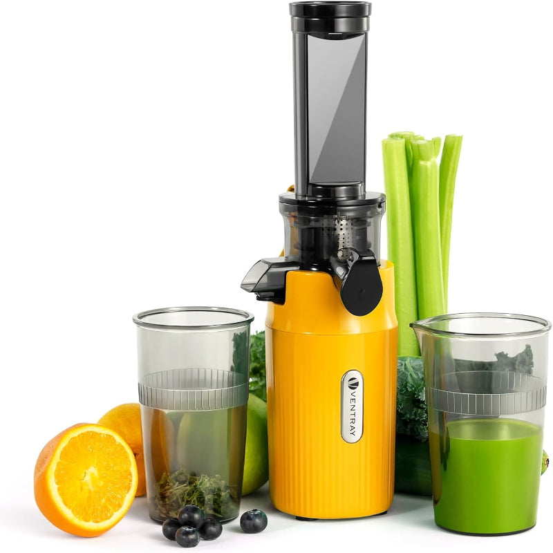 (Excellent) Ventray Ginnie Mini Cold Press Juicer, Small Slow Masticating Juicer for Vegetables and Fruits