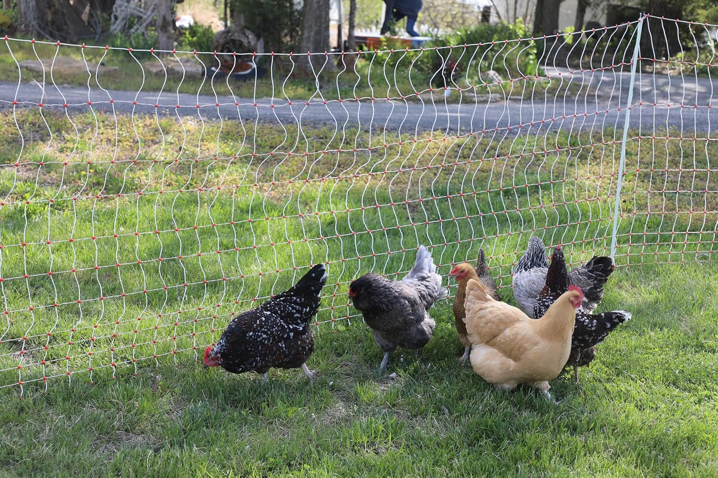 (New Open Box) Gallagher Electric Sheep Netting – Energized Fence | Easy Setup | Durable Livestock Net