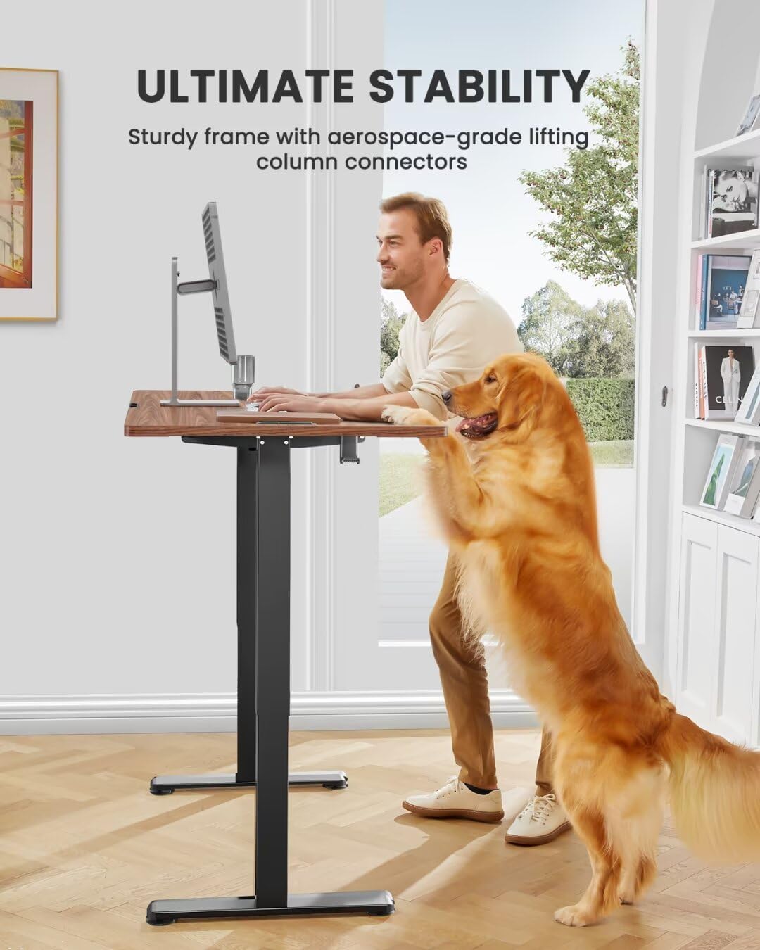(New Open Box)  ErGear Electric Standing Desk 40"x24" | Height Adjustable Sit Stand Desk • 4 Memory Presets