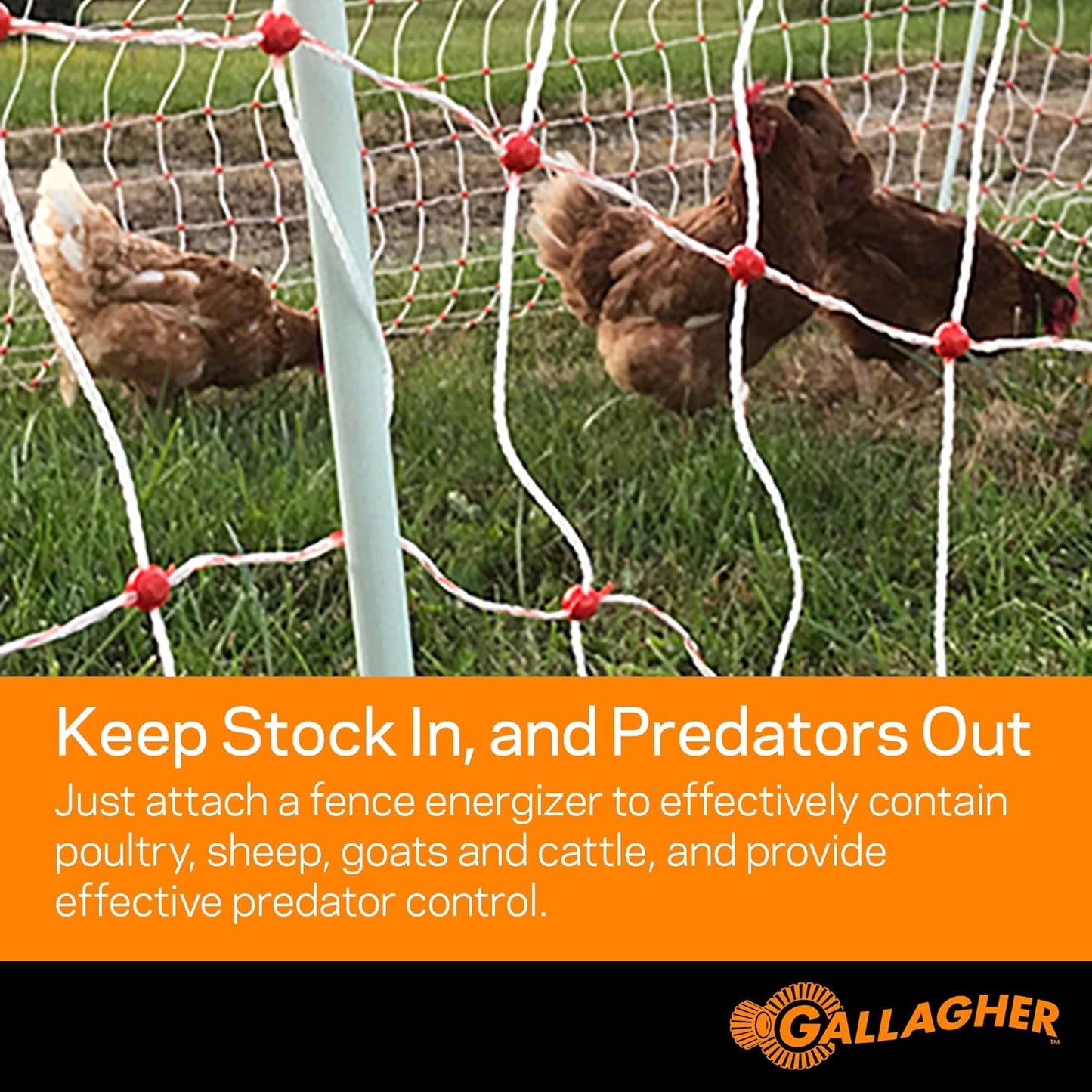 (New Open Box) Gallagher Electric Sheep Netting – Energized Fence | Easy Setup | Durable Livestock Net