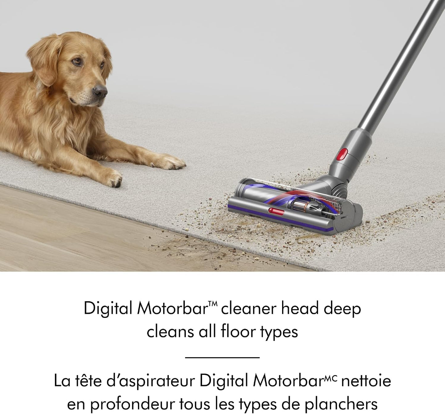 (Excellent) Dyson V15 Detect Cordless Vacuum