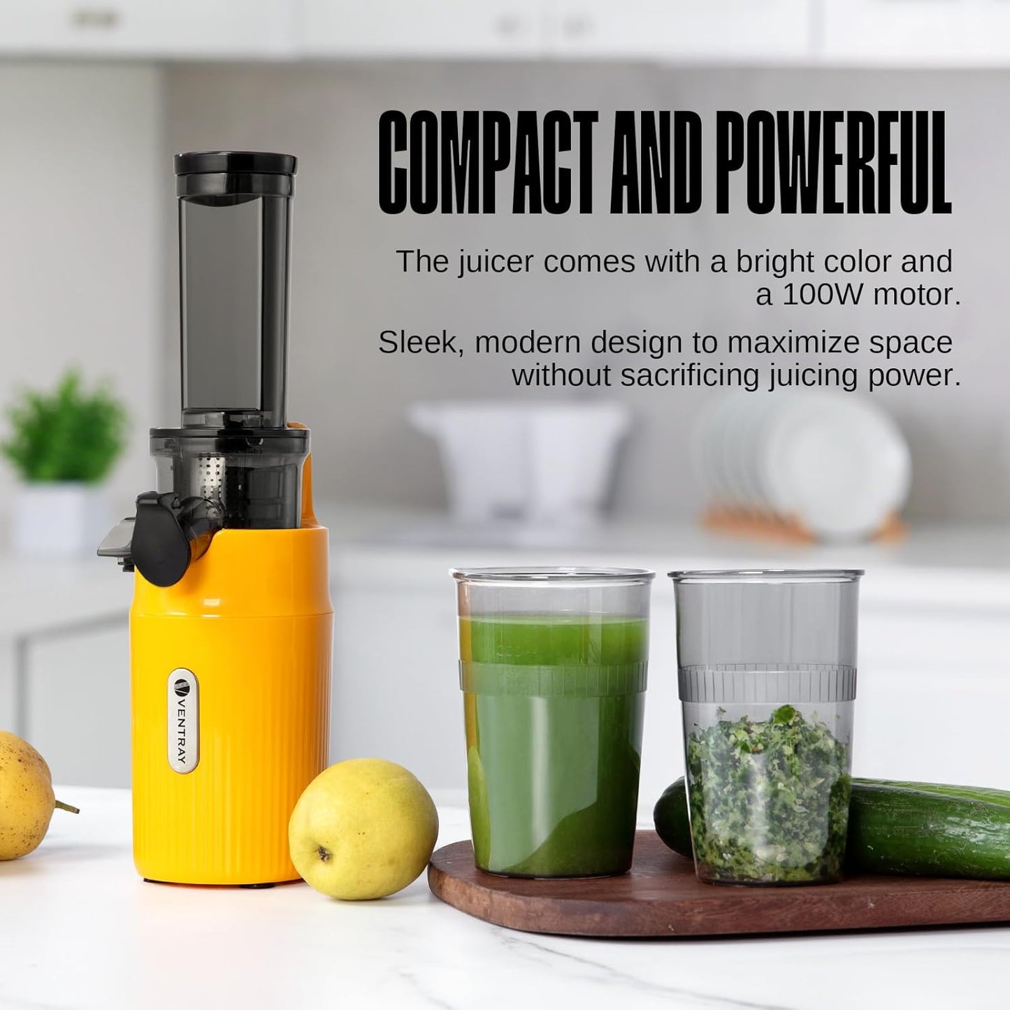 (Excellent) Ventray Ginnie Mini Cold Press Juicer, Small Slow Masticating Juicer for Vegetables and Fruits